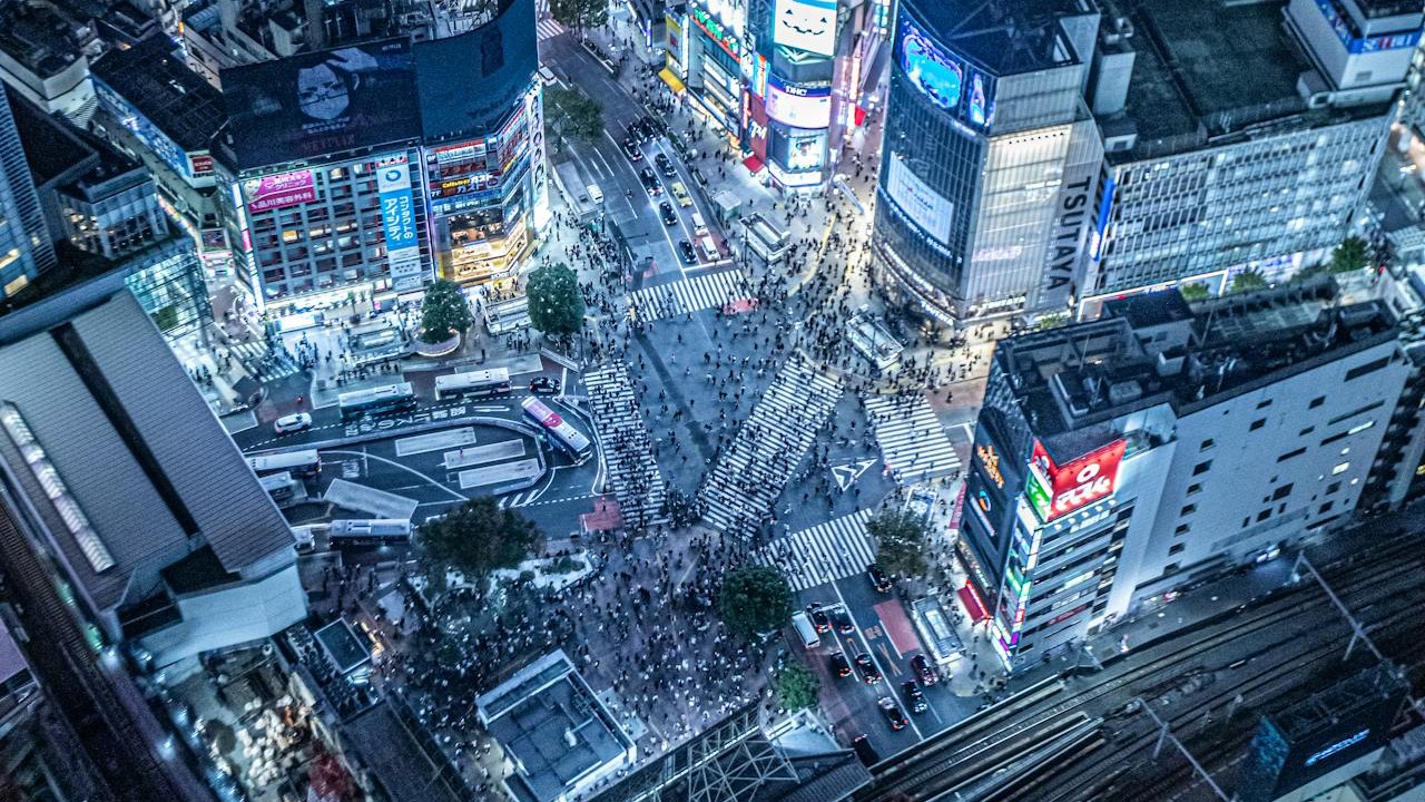 도쿄 완전 정복 프리미엄 투어